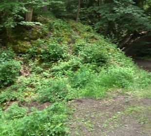 Schutzgebiet Spitzberg, Pfaffenberg