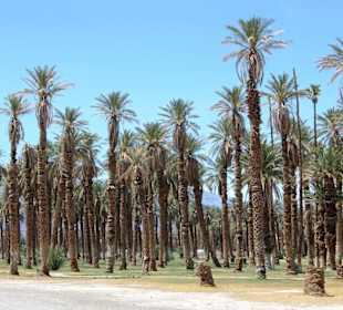 Furnace Creek