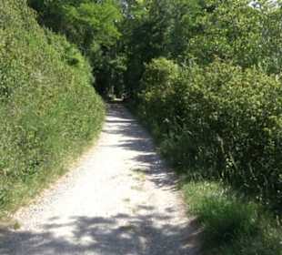 Früchtetrauf - Wurmlinger Kapellenwegle