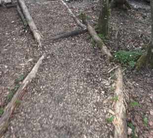 Barfußpfad Firstwald