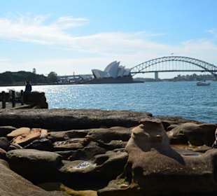 Harbour Bridge
