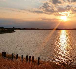 Strand Scharendjik