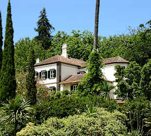 Blandys gardens