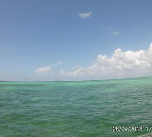 Isla Saona