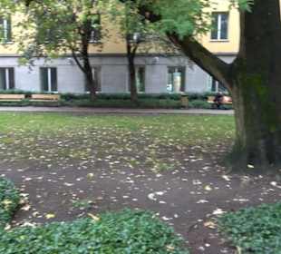 Franziskaner Klosterkirche