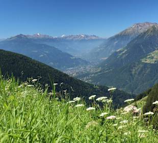 Wanderung oberhalb von Schenna