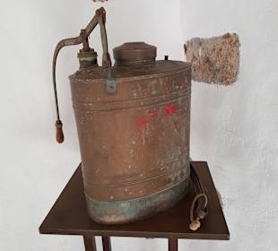 Weinmuseum und Kakteen-Ausstellung El Grifo