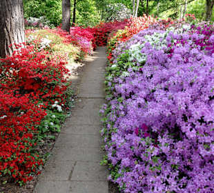 Spaziergang durch den Rhododendronpark im Mai