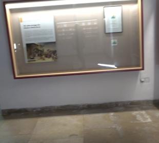 Katholische Pfarrkirche St. Salvator