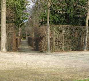 Schlosspark Schwetzingen im Winter
