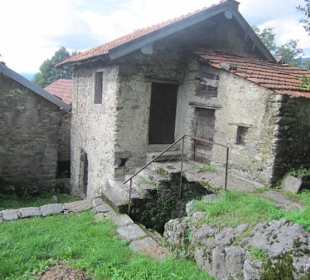 Weiler Naro