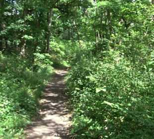 Schutzgebiet Spitzberg, Pfaffenberg