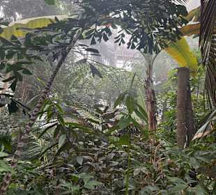 Botanischer Garten in Washington 