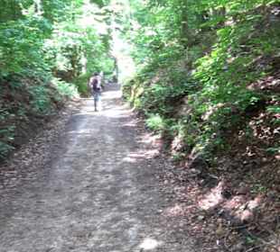 Wanderweg - Alter Steinbruch Pfaffenberg Runde