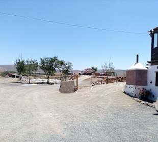 Ziegenfarm Finca Pepe