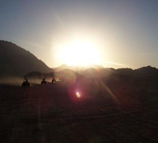 Privater Quad-Ausflug