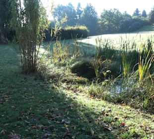 Botanischer Garten