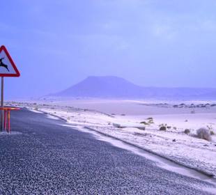 Dünen Corralejo