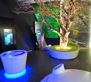 Exponate der Ausstellung im Vulkanmuseum
