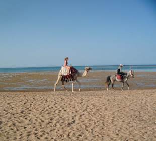 Reiten am Strand