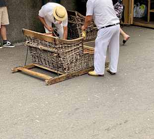Korbschlittenfahrt Monte