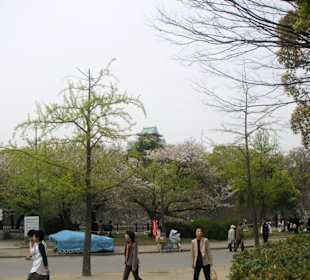 Osaka Castle