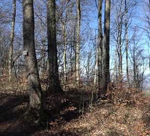 Wanderroute Drei Berge Tour Willmandingen