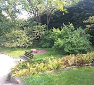 Palmiarnia Park Oliwski