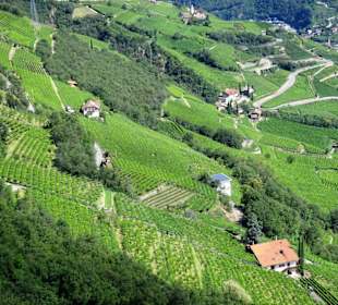 Blick aus der Seilbahn auf die Hänge des Ritten