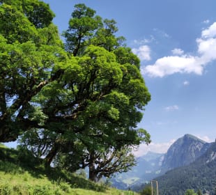 Sport & Freizeit