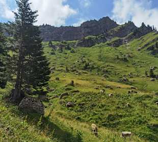 Wandern Oberstaufen