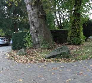 Schloss Moos Lindau