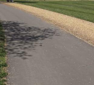 Sport- und Freizeitpark Markwasen