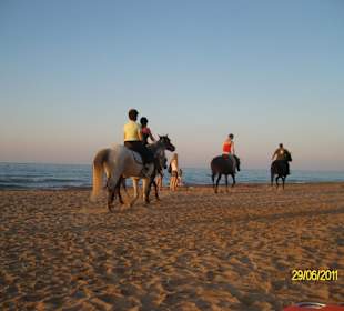Abendlicher Ausritt am Kavros Strand
