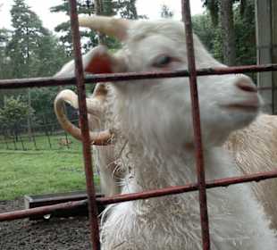 Zoo Olomouc