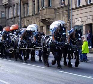 Knoblauchsland Fürth 6er Spann