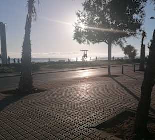 Strand Playa/Platja de Palma