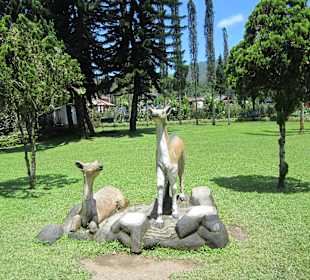 Auch Tiere gibts hier