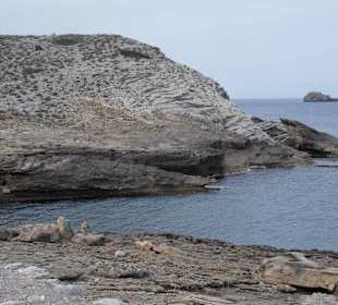 Cala Mitjana