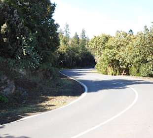  Parque Nacional del Teide