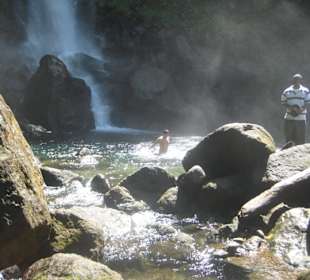 Abkühlung im Regenwald