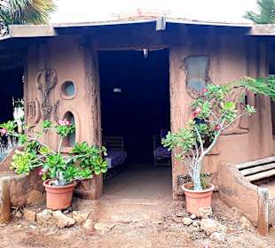 Botanischer Garten Viveiro