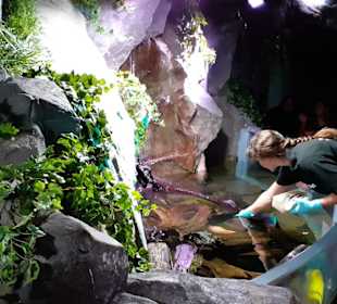 Sea-Life Aquarium in Speyer