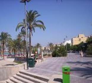 Our way to the beach