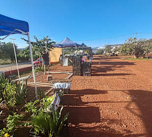 Asociación Mercat De Forada bei Santa Gertrudis 