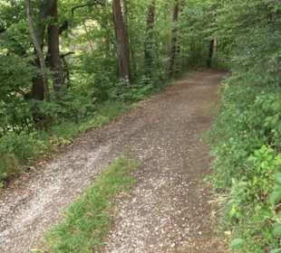 Wanderweg Märchensee Runde