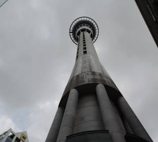 Mit dem Hop on Hop off Bus in Auckland unterwegs