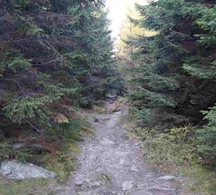 Riesengebirge/Karkonosze