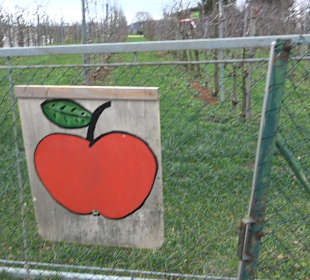 Birnenerlebnisweg Glems