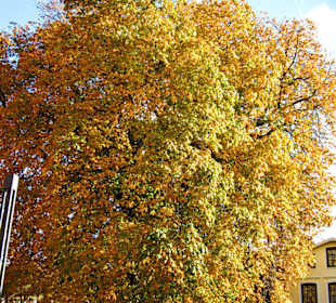 У Церькви  Св. Михаэля